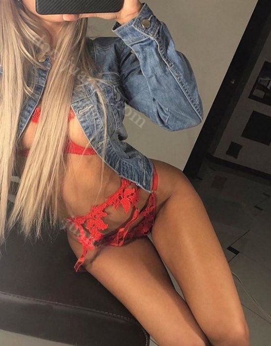 Rosa - foto 1