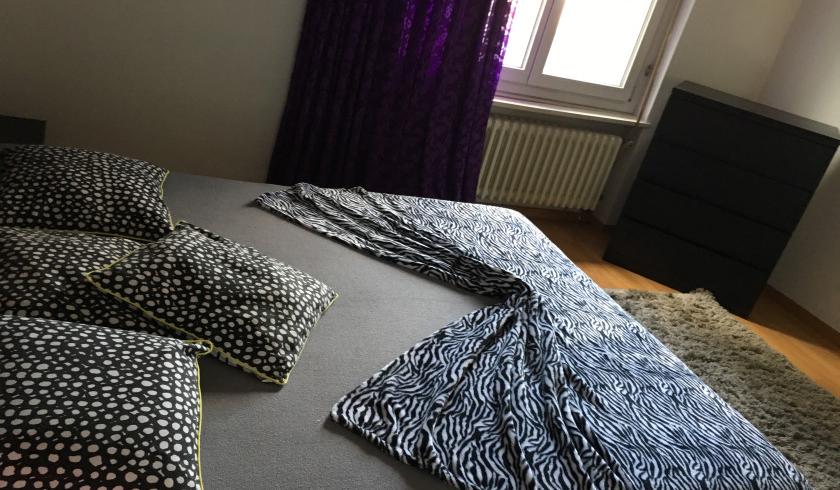 Zimmer Apartments Privat Kein Rote Licht Thurgau Winterthur Luzern - foto 4