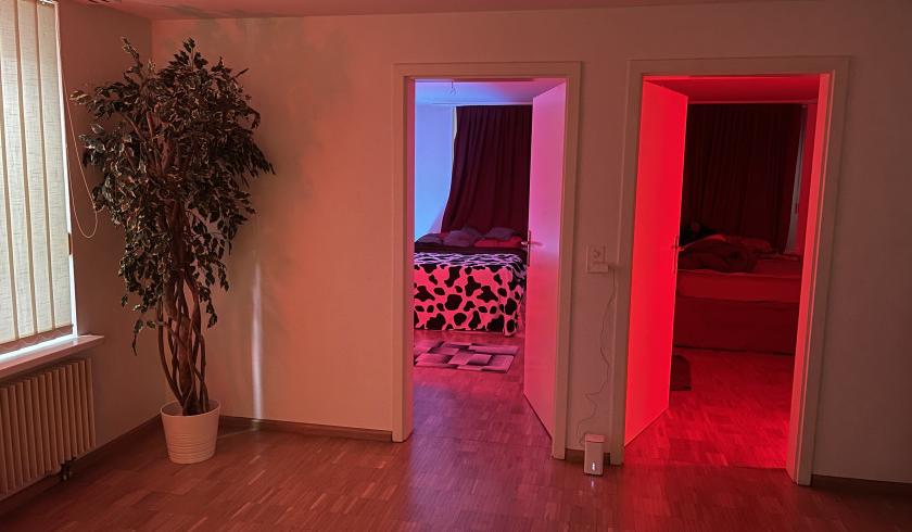 Private Diskrete Zimmer In Basel Alquilamos Habitaciones Privadas Y Discretas - foto 1