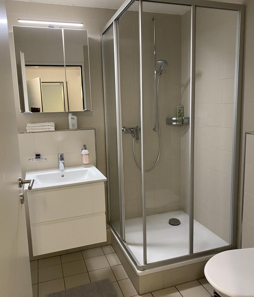 Privat Apartment Zu Vermieten - foto 2