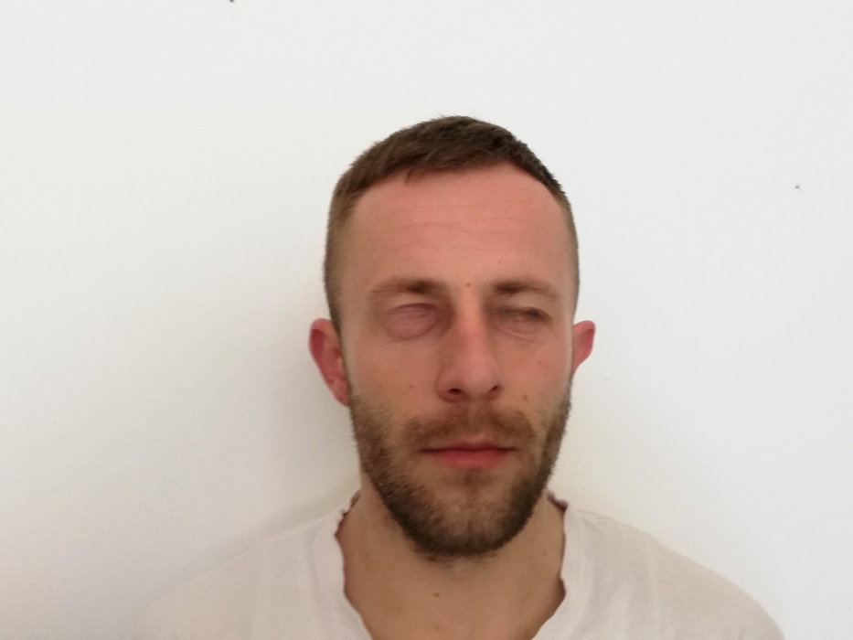 Stipe Plavi - foto 1