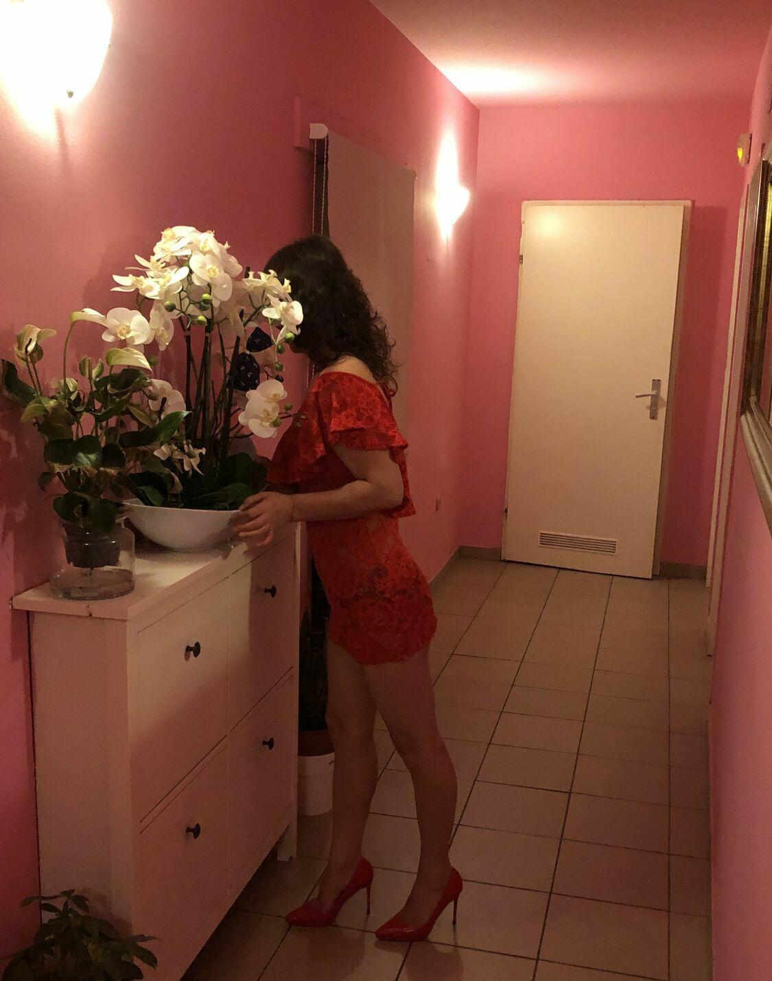 Vivi - foto 4
