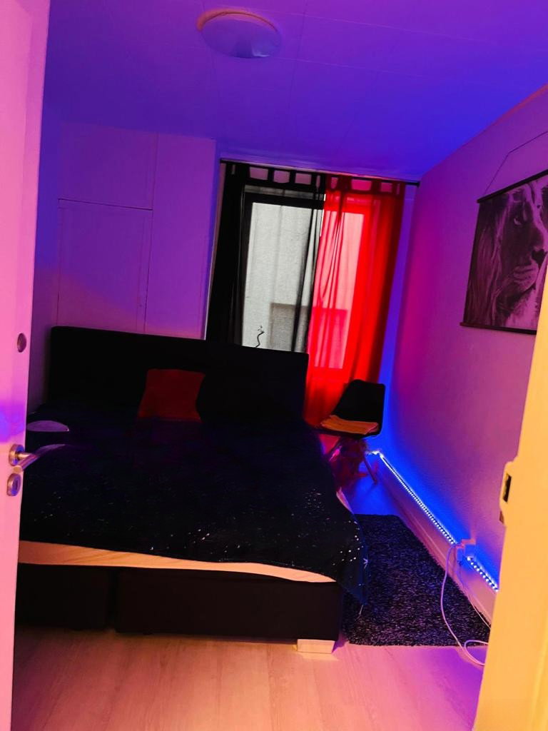 Neu In Basel Bewilligte Zimmer Zum Vermitten - foto 8