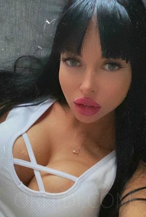 Cheyenne - photo 1
