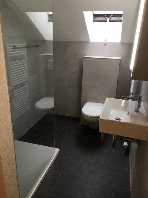 Vermieten In Der Ganzen Schweiz - photo 1