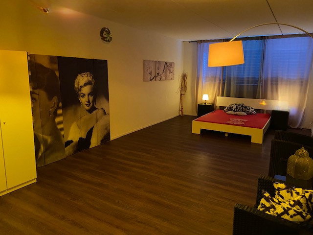 Vermieten In Der Ganzen Schweiz - photo 3