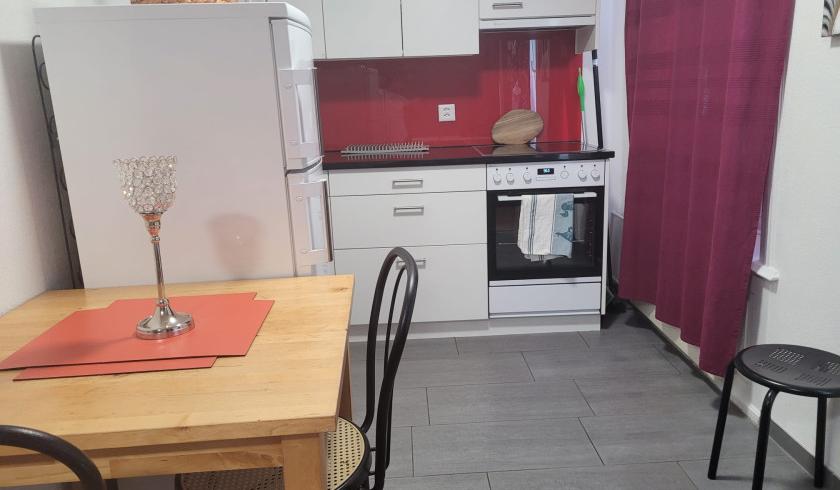Gallen St Gallen Diskrete Private Wohnung Wochenmiete Es En De - foto 3
