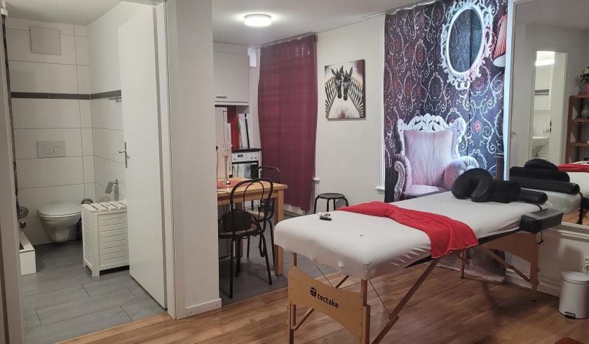 Gallen St Gallen Diskrete Private Wohnung Wochenmiete Es En De - foto 4