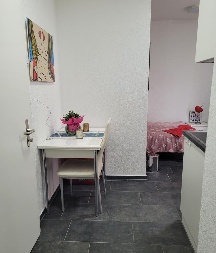 Gallen St Gallen Diskrete Private Wohnung Wochenmiete Es En De - foto 5