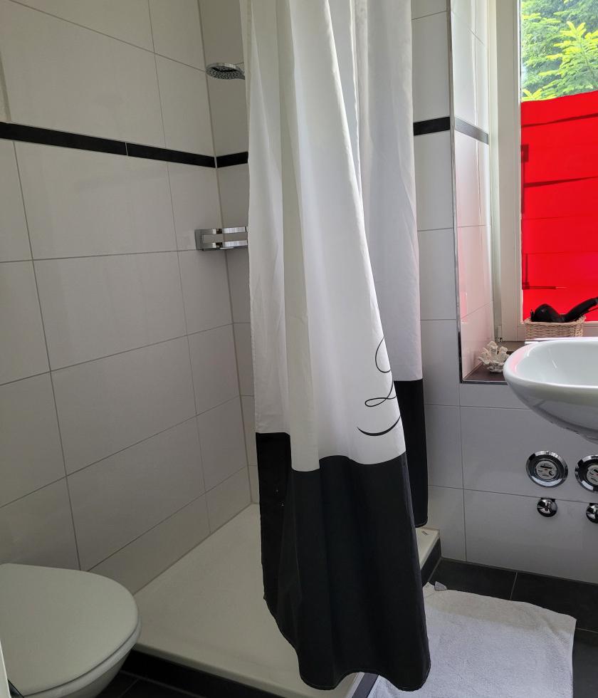 Gallen St Gallen Diskrete Private Wohnung Wochenmiete Es En De - foto 6