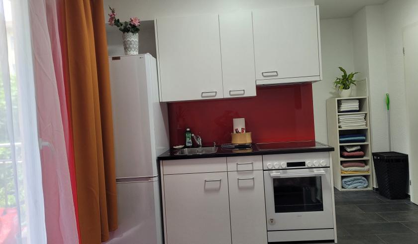 Gallen St Gallen Diskrete Private Wohnung Wochenmiete Es En De - foto 7
