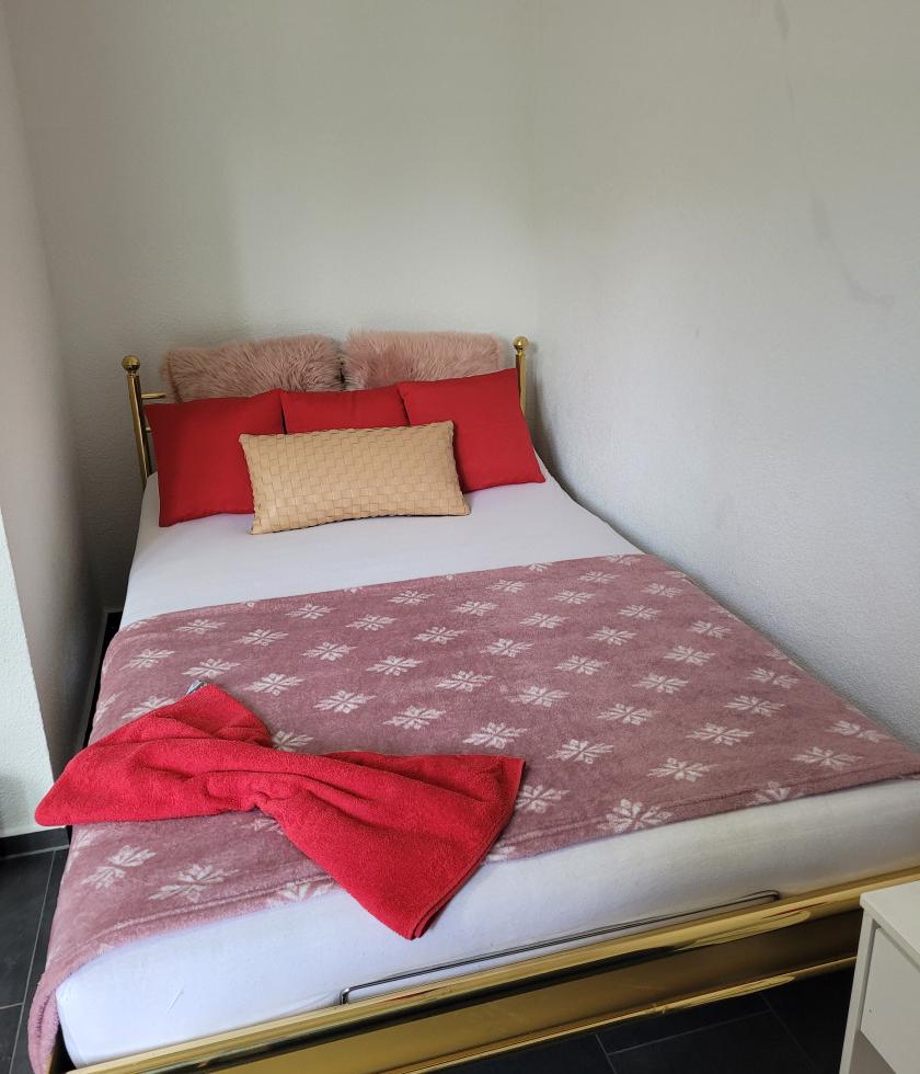 Gallen St Gallen Diskrete Private Wohnung Wochenmiete Es En De - foto 8