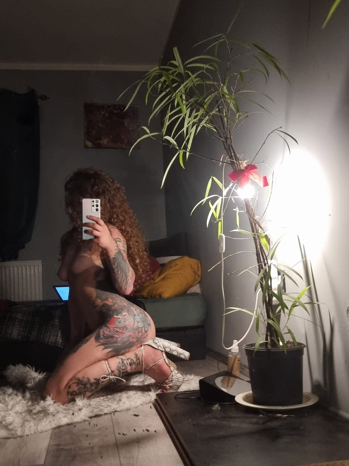 Moonshine - foto 18