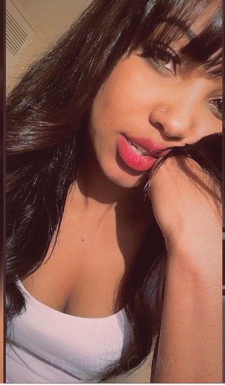 Eliz Ferraz - photo 1