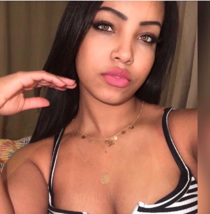 Eliz Ferraz - photo 12